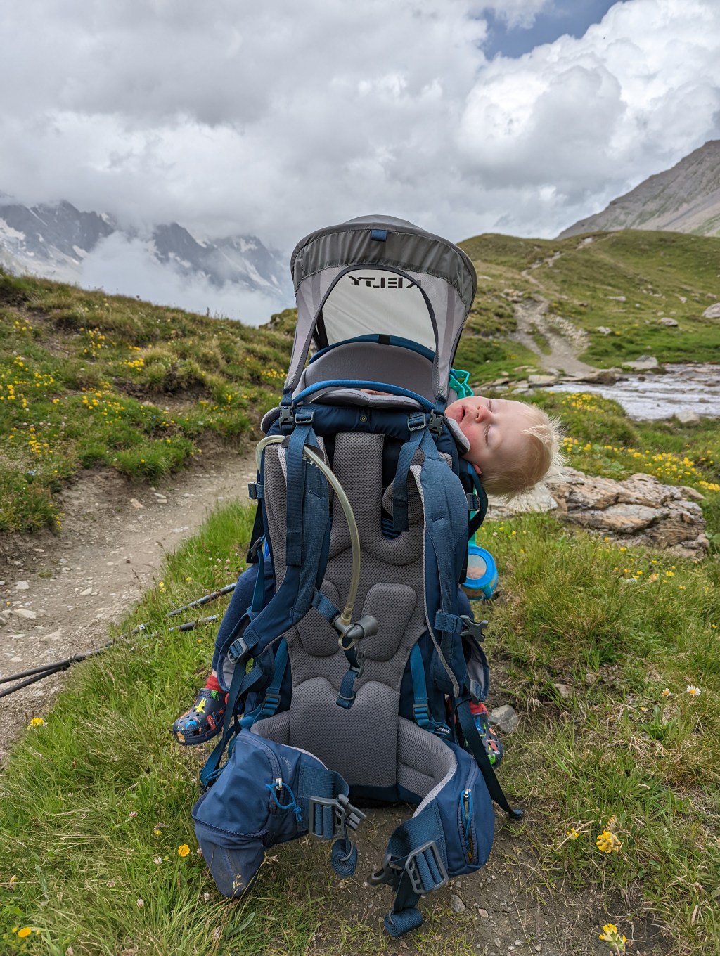 Carriers, Babies, &&nbsp;Smiles?